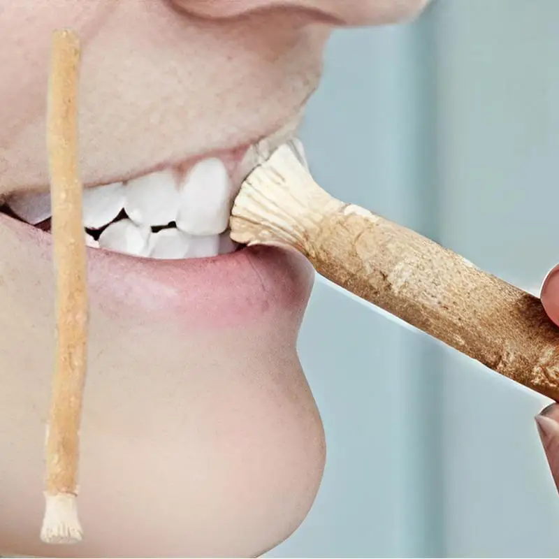 Miswak Stick Whitening Machine Manual Teeth Natural Miswak Sticks for Teeth Traditional Healthy Natural Tooth Scrub Brightener