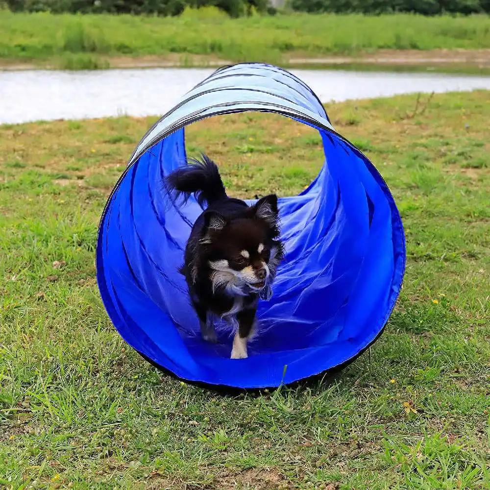 Imagem -04 - Animais de Estimação Treinamento de Esportes ao ar Livre Suprimentos Pet Agilidade Túnel de Treinamento Cão Gato Canal Dobrável Rastejando Túnel Brinquedo do Animal Estimação