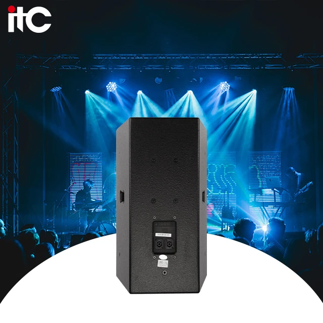 ZJZ 13 Inch 250W 8Ω Conference Audio Speakers Professional Sounds Set Speakers Professional