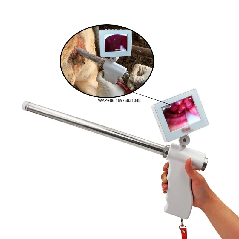 Comfortable visual insemination for cattle and sheep breeding Livestock equipment Rotary insemination practice