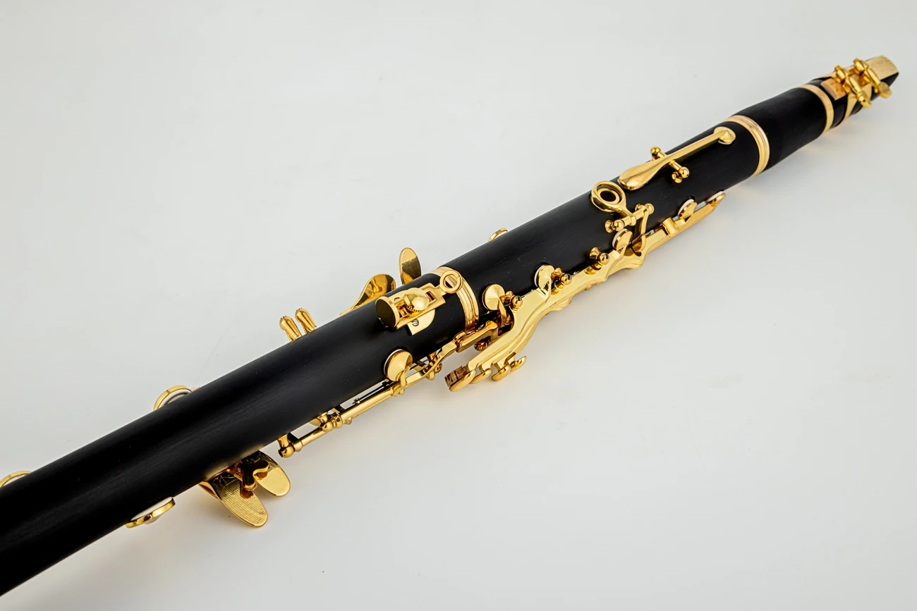 SADSN SCL-500 الكلارينيت Bb لحن الباكليت الخشب الذهب مفاتيح أداة النفخ الخشبية المهنية مع ملحقات الحقيبة #5