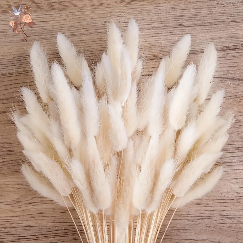 60Pcs Fluffy Bunny Rabbit Tails Grass Bouquet Boho Home Vase Decor Natural Pampas Dried Flower Lagurus Ovatus Wedding Decoration