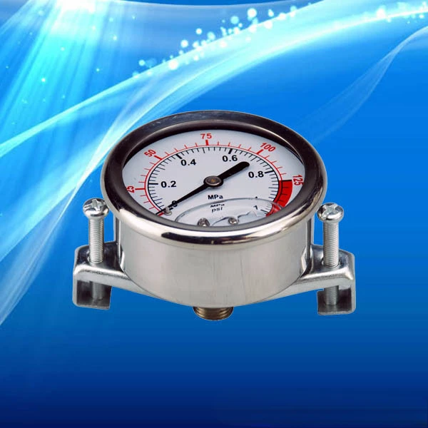 Y100 outer diameter 100mm oil-filled and shock-resistant stainless steel shell pressure gauge