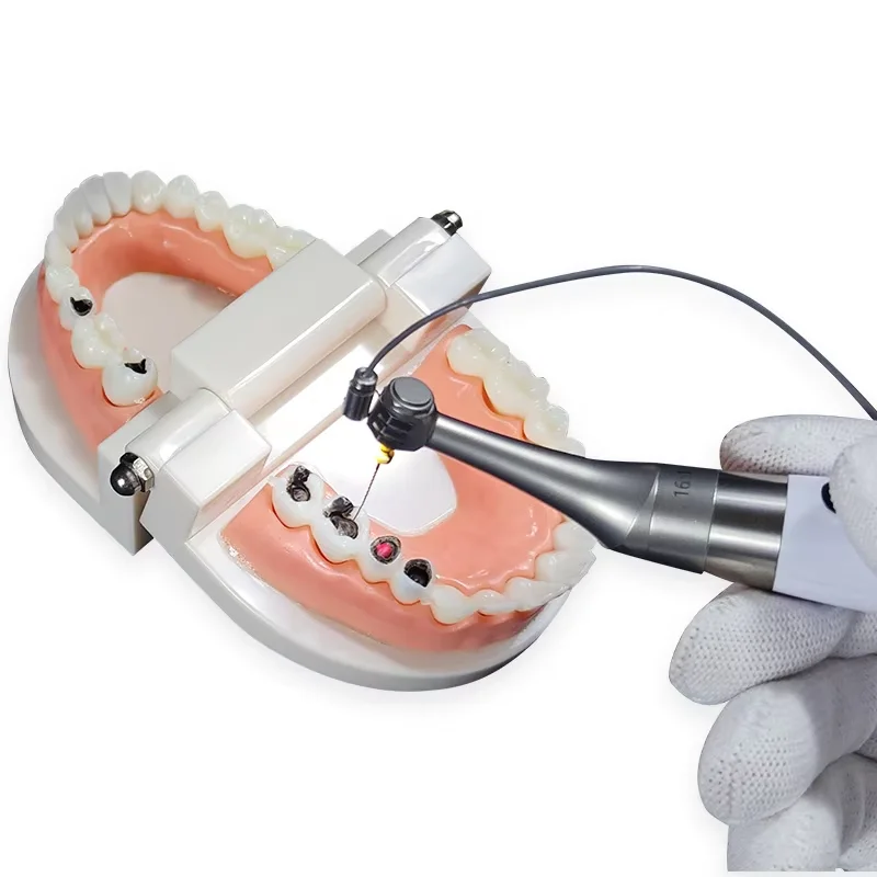

High Definition Pixel Dental Micro Camera Microdiagnostic Tool Durable Strong Design Not Easy to Drop Fast Factory Shipment for