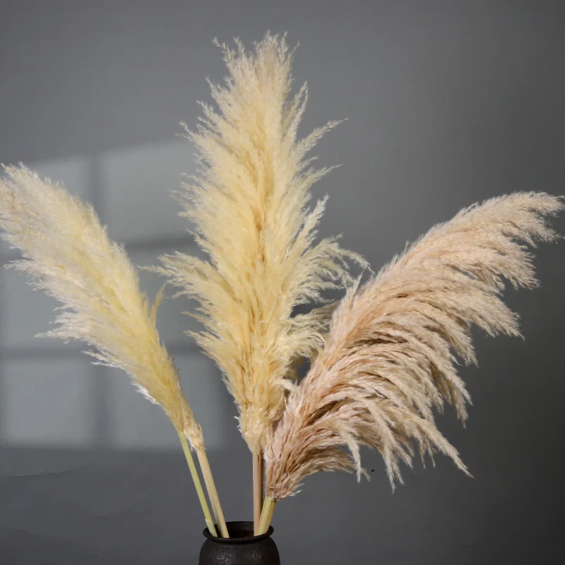 80cm Pampas Grass Decor Extra Large Natural Dried Flowers Bouquet Wedding Flowers Vintage Style Home Fleurs Sechees Naturelles