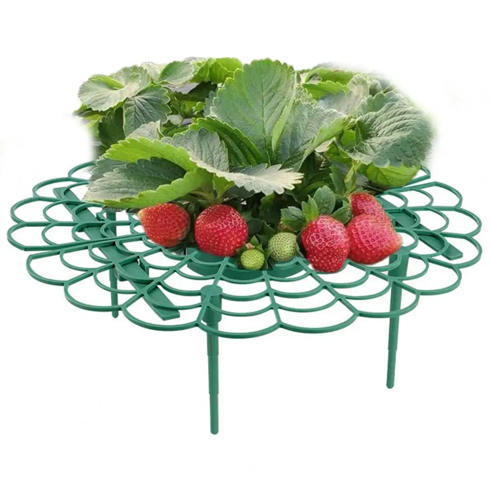 Strawberry Supports Keeping Plant Fruit Stand Vegetable Growing Rack Protecting Vines Avoid Ground Plant Support Garden Tools