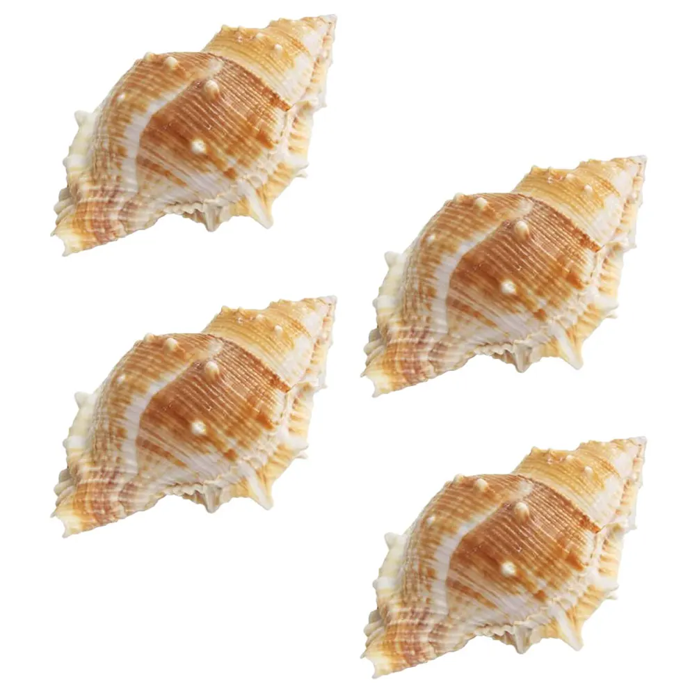 

8Pcs Natural Conch Decoration Seashells Smooth Edges Fish Tank Aquarium DIY Craft Home Decor Aquarium Conch Decoration