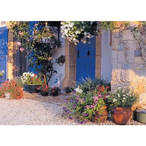 Quebra-cabeça 500 peça willynin nin casa quebra-cabeça