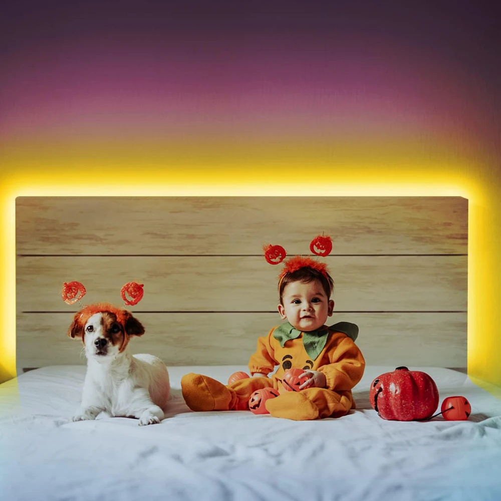 ไฟ LED แบบเส้น RGB+CCT ขนาด 5 ม. 10 ม. 20 ม. 24V 5050 สีสันสดใส+ขาวคู่ ปรับความสว่างได้ ใช้ตกแต่งห้อง งานปาร์ตี้ พร้อมรีโมทควบคุมแบบสัมผัส 2.4G RF