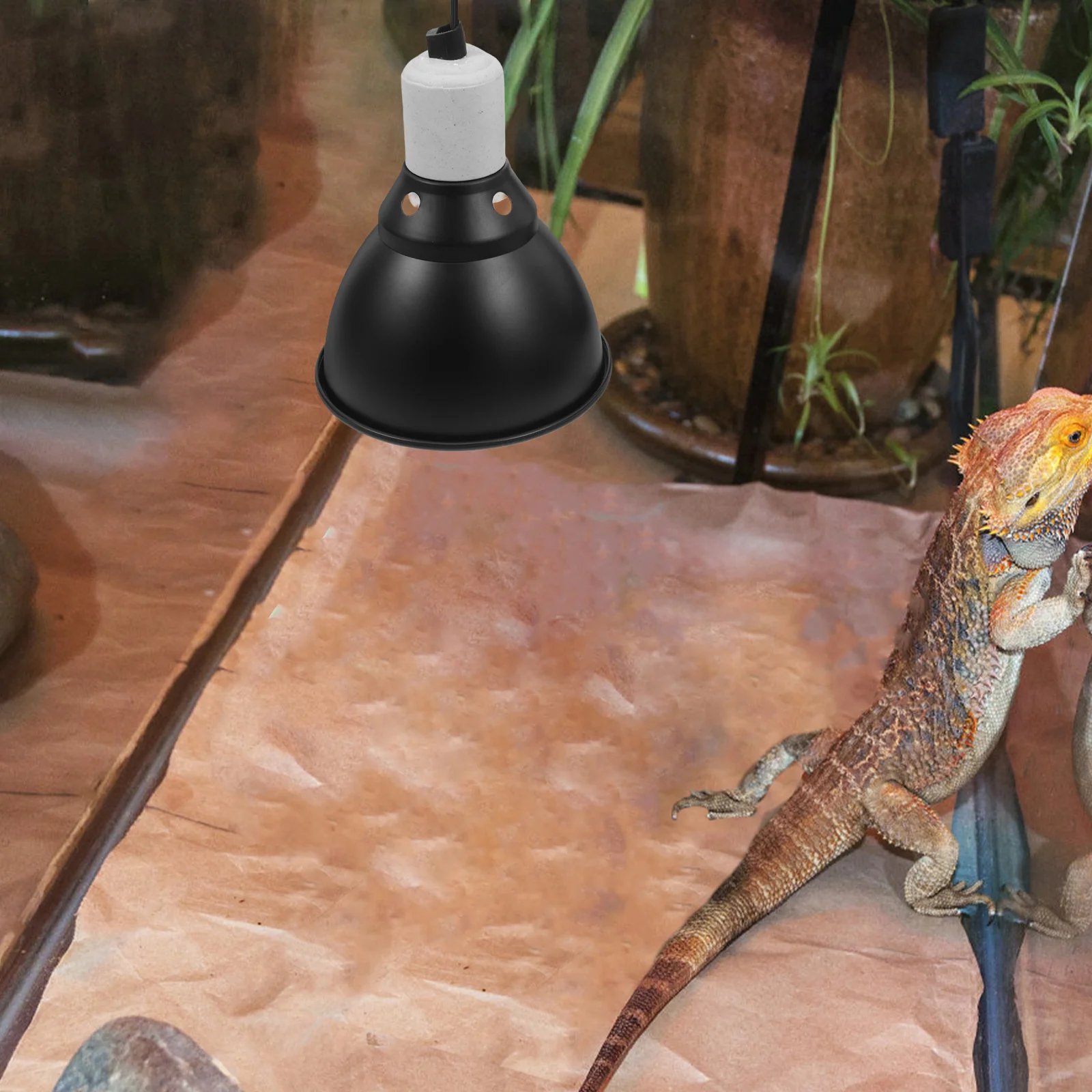 تركيبات مصابيح التدفئة تشمس مصباح على شكل قبة للتنين الملتحي السلاحف السحلية الزواحف غطاء المصباح الحراري لمبات الزواحف مرابي #3