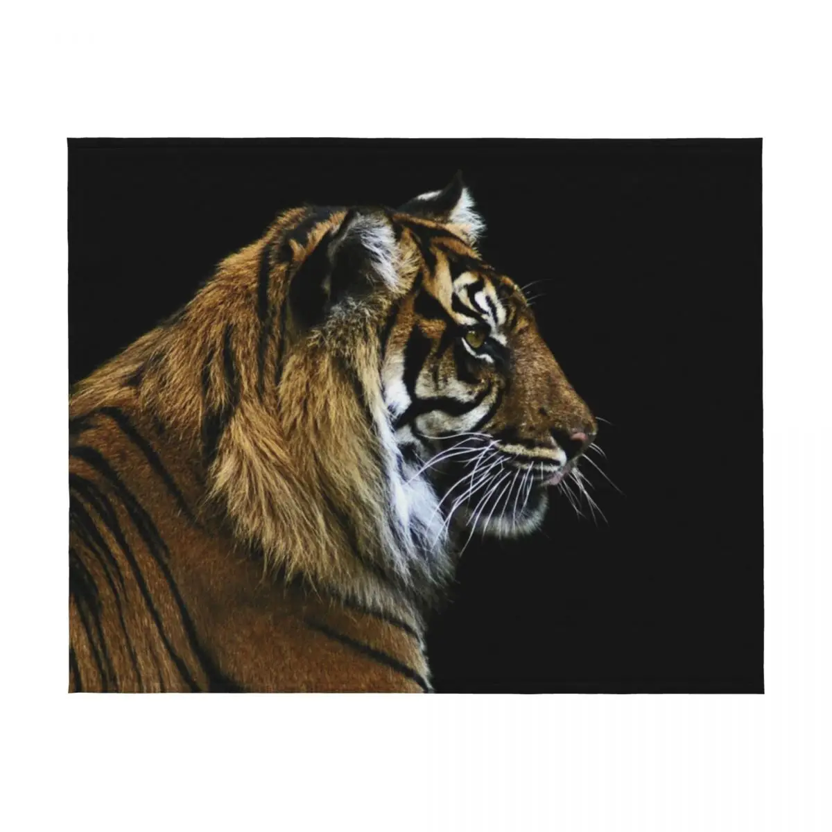 بطانية رمي النمر ديكور فروي بطانيات مصممي الهدايا الشخصية