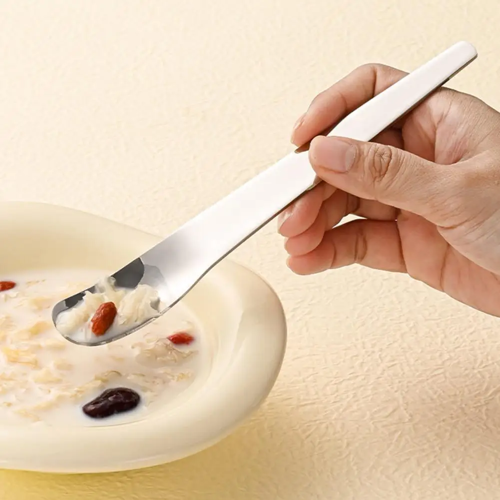 Ergonomic Kitchen Utensils Stainless Steel Dessert Spoon with Long Ergonomic Handle Mirror Polished Spoon for Ice Cream Yogurt