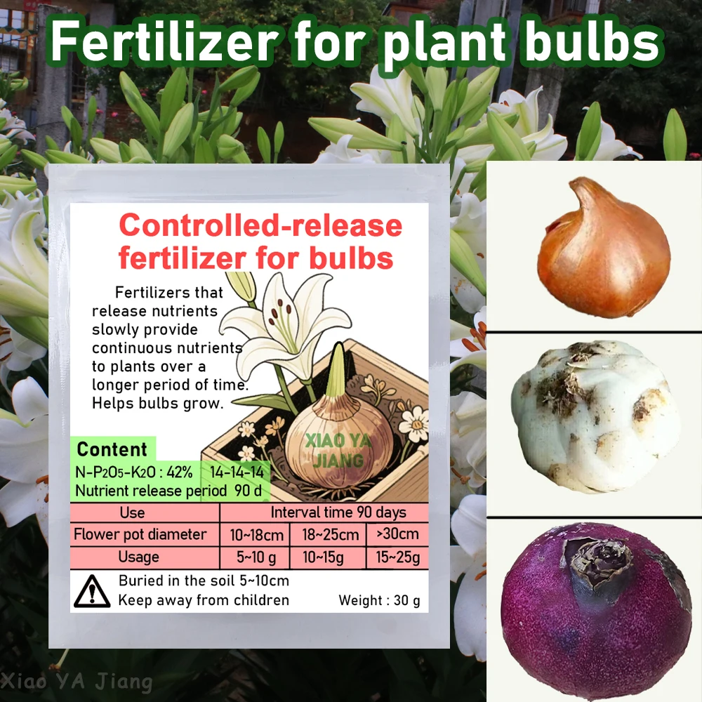 30g Slow-Release Compound Fertilizer for Bulbs Nutritionally Balanced Suitable for Lilies & Tulips, Long-Term Effect