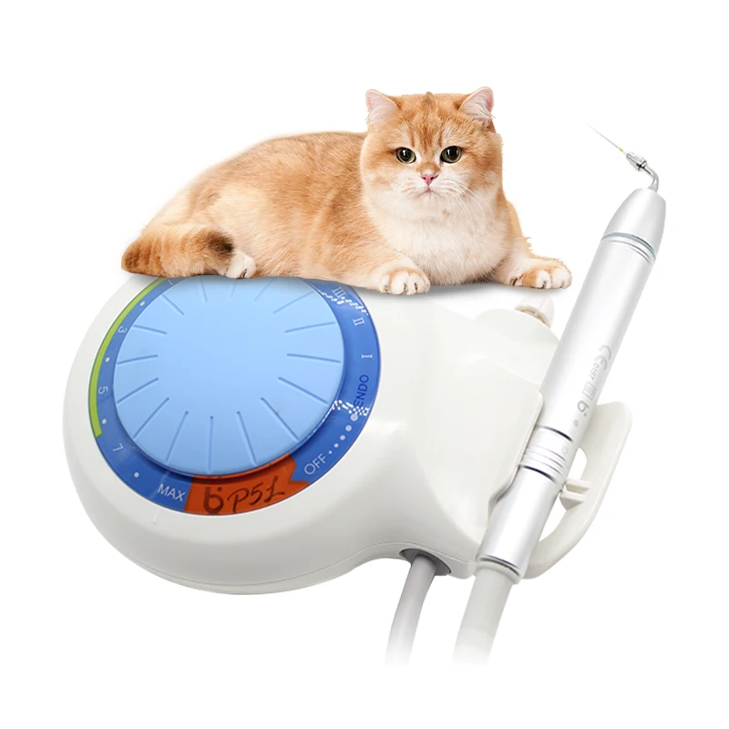 Veterinary Products Electric Dental Cavitron Ultrasonic Scaler With Detachable Aluminum Alloy LED Handpiece