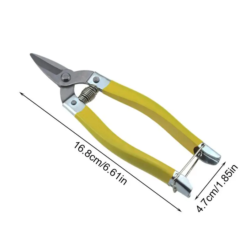 Imagem -06 - Professional Bypass Árvore Trimmer Jardim Tesoura Poda Shears Aparadores Secateurs Clippers Scissor Sharp