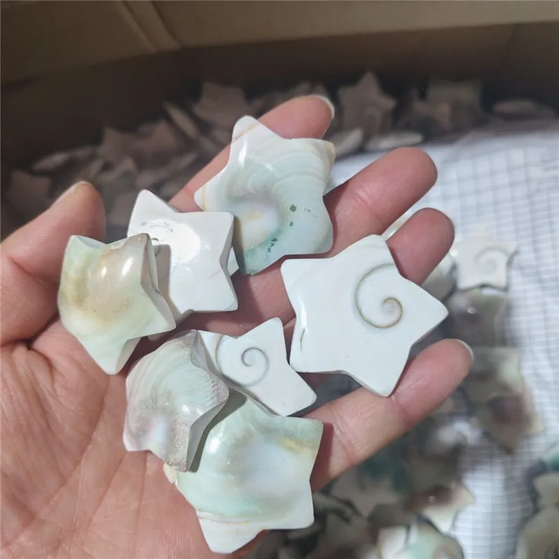 1000g natural crystal sun shell five-pointed star furniture decoration