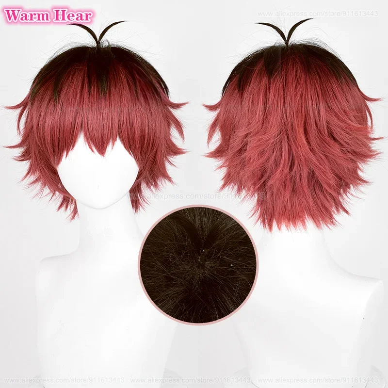 Pelucas de Anime Stark Sky Frieze helecho Aura Flame Heiter, pelucas de Anime resistentes al calor, fiesta de Halloween, gorro de peluca Unisex
