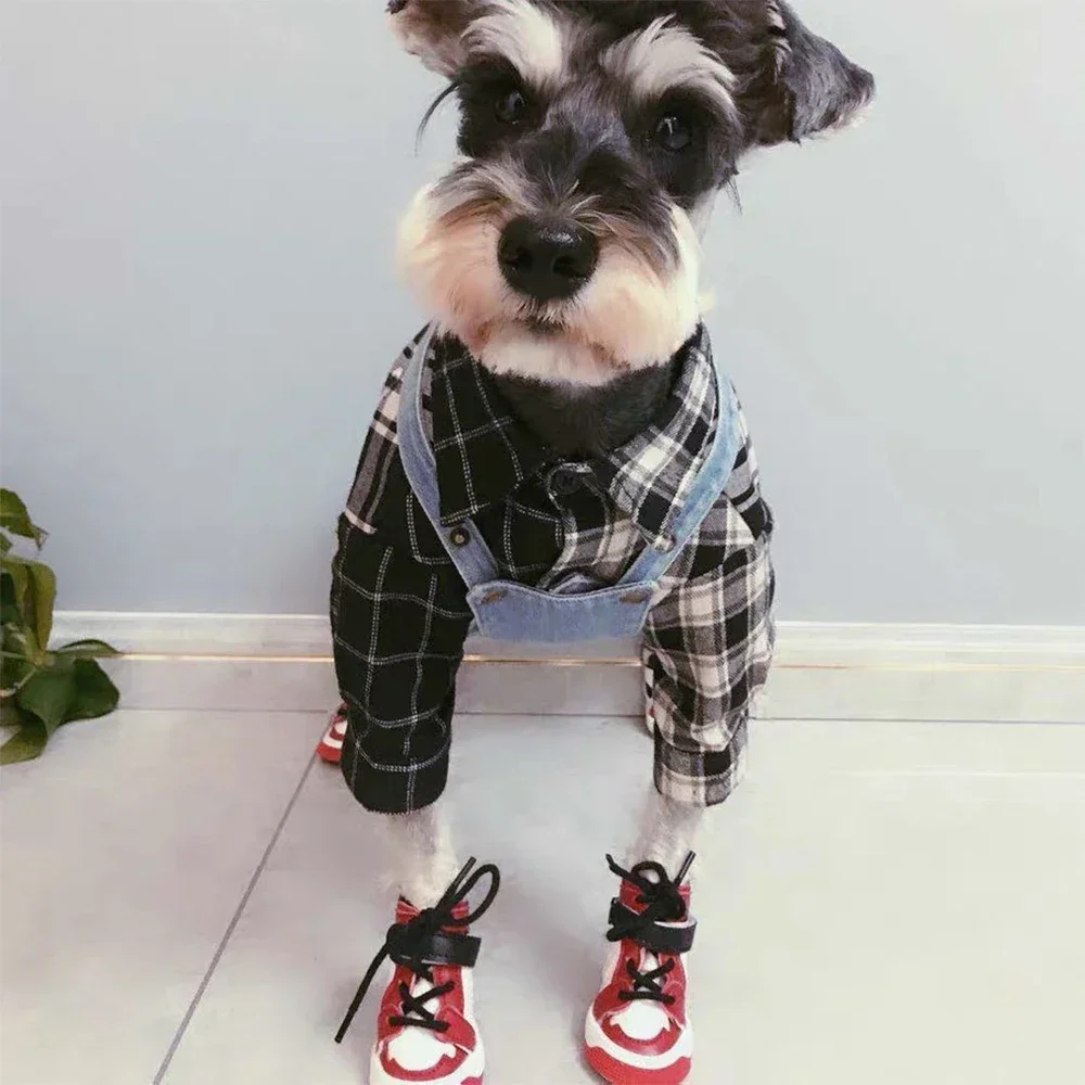 

Модная обувь Schnauzer OT0046