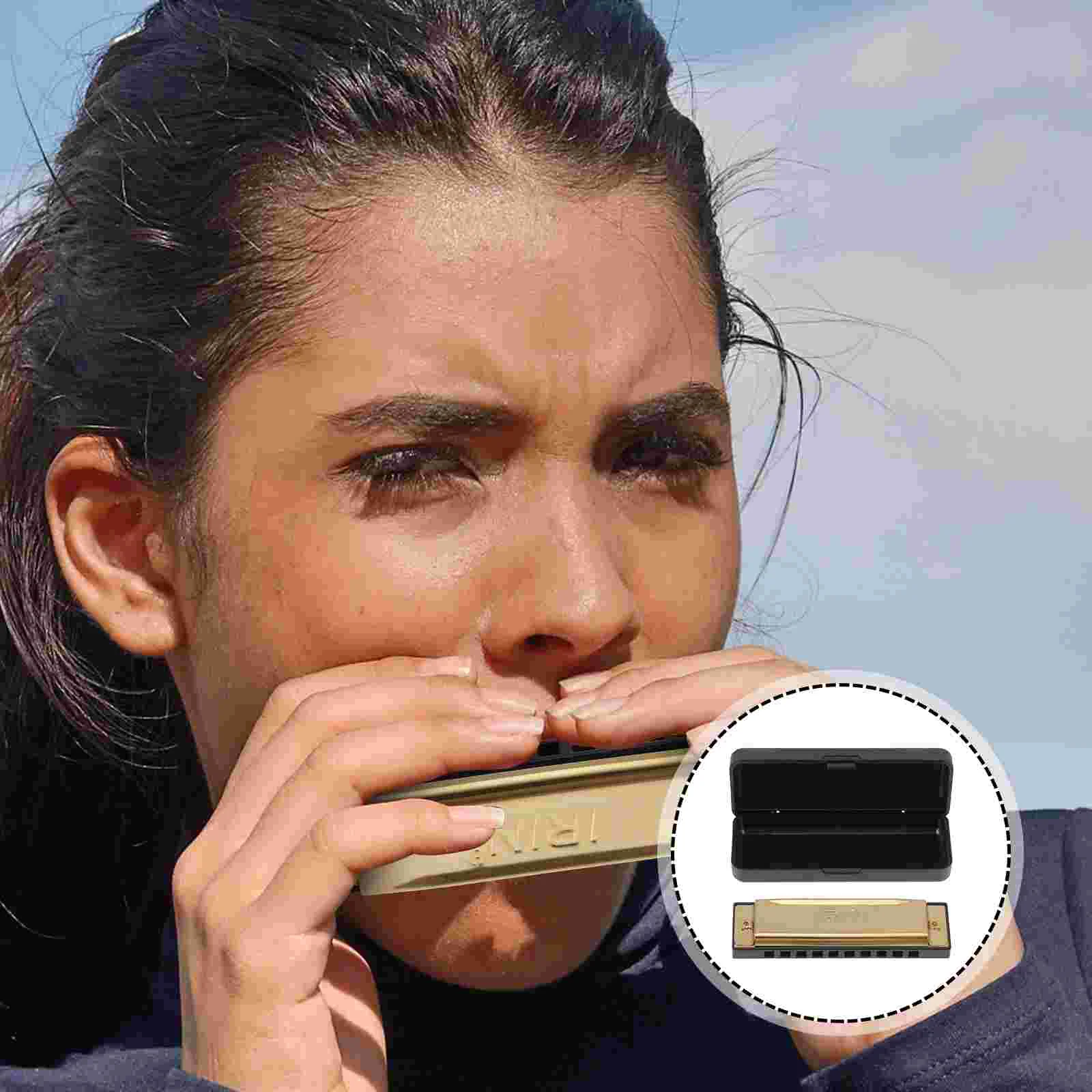 Musical Instrument Blues Harmonica Ten-hole Cloth Chrome Plated Copper Jam Metal