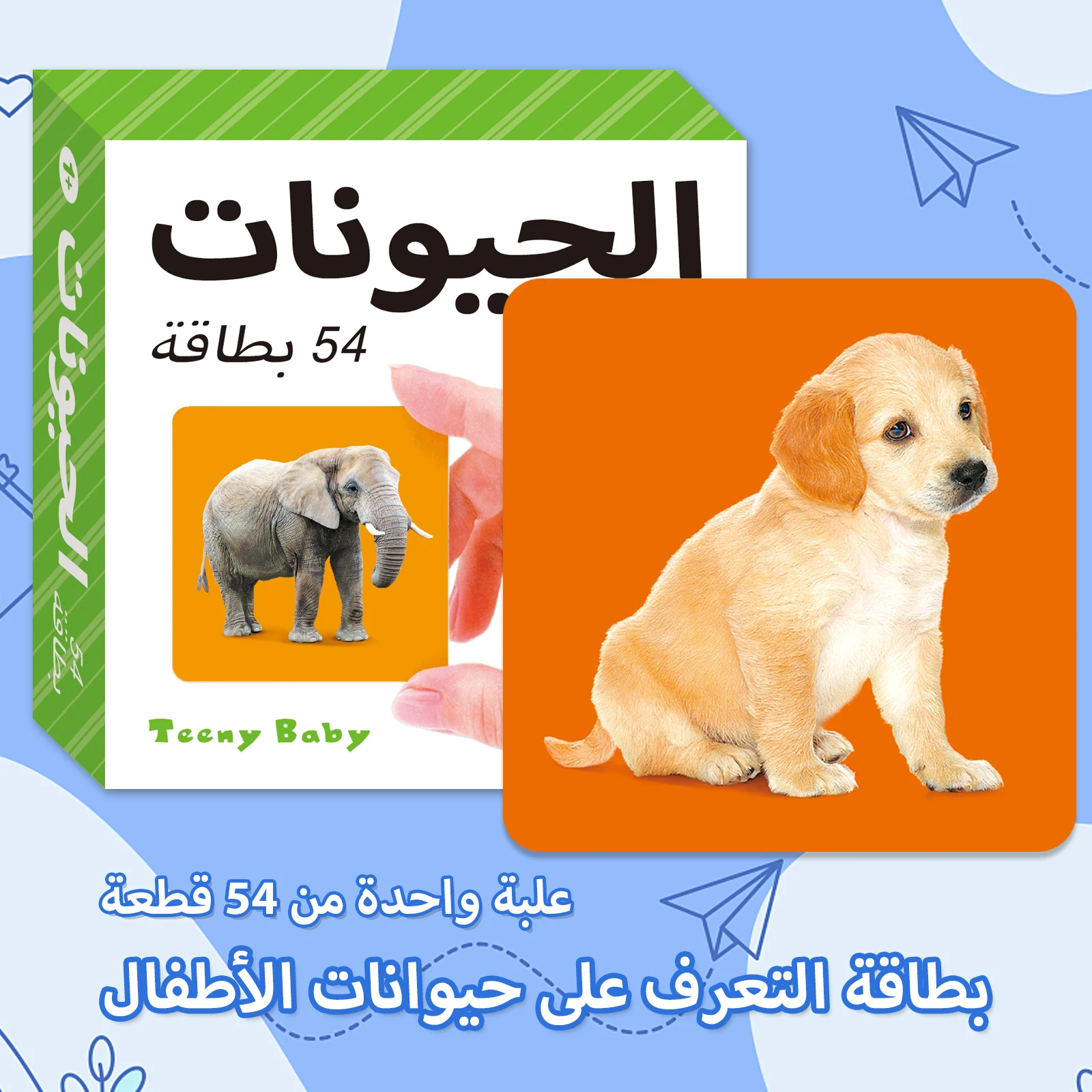 

54 Arabic Learning Cards: Letters, Numbers, Literacy, Animals, Cognitive & Early Education, 3-6 Years, Gift Box