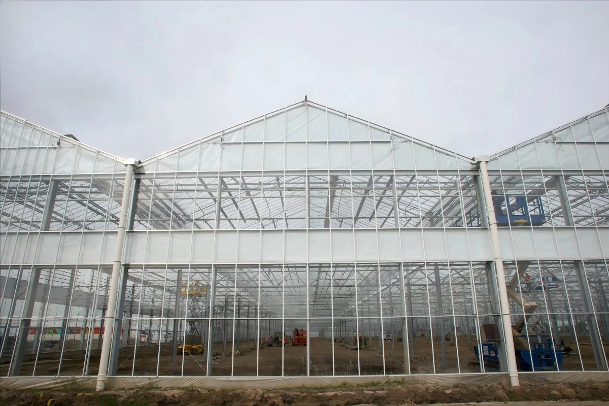 Venlo الدفيئة الزراعية التجارية الساخنة Dip هيكل الصلب المجلفن منزل زجاجي طويل المتانة للخضروات والزهور