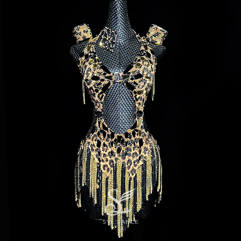SYL женское платье без рукавов с леопардовым принтом и бахромой из зеркального камня, танцевальное спортивное платье со стразами, латинские платья для соревнований SYL женское платье без рукавов с леопардовым принтом и бахромой из зеркального камня, танцевальное спортивное платье со стразами, латинские платья для соревнований