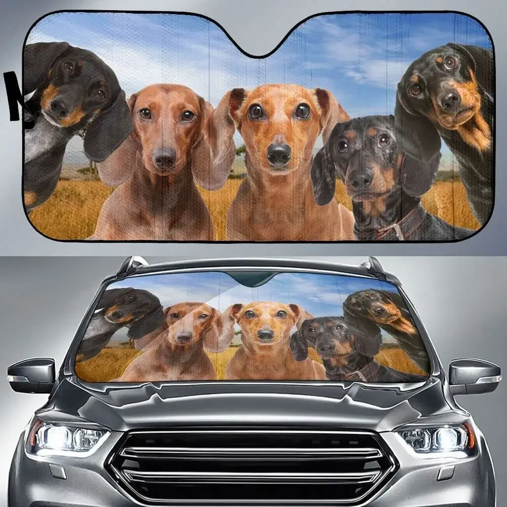 Black and Tan Dachshund Dog Lover Car Sunshade Windshield Window, Gift for Dachshund Doxie  Car Windshield Durable Auto Visor