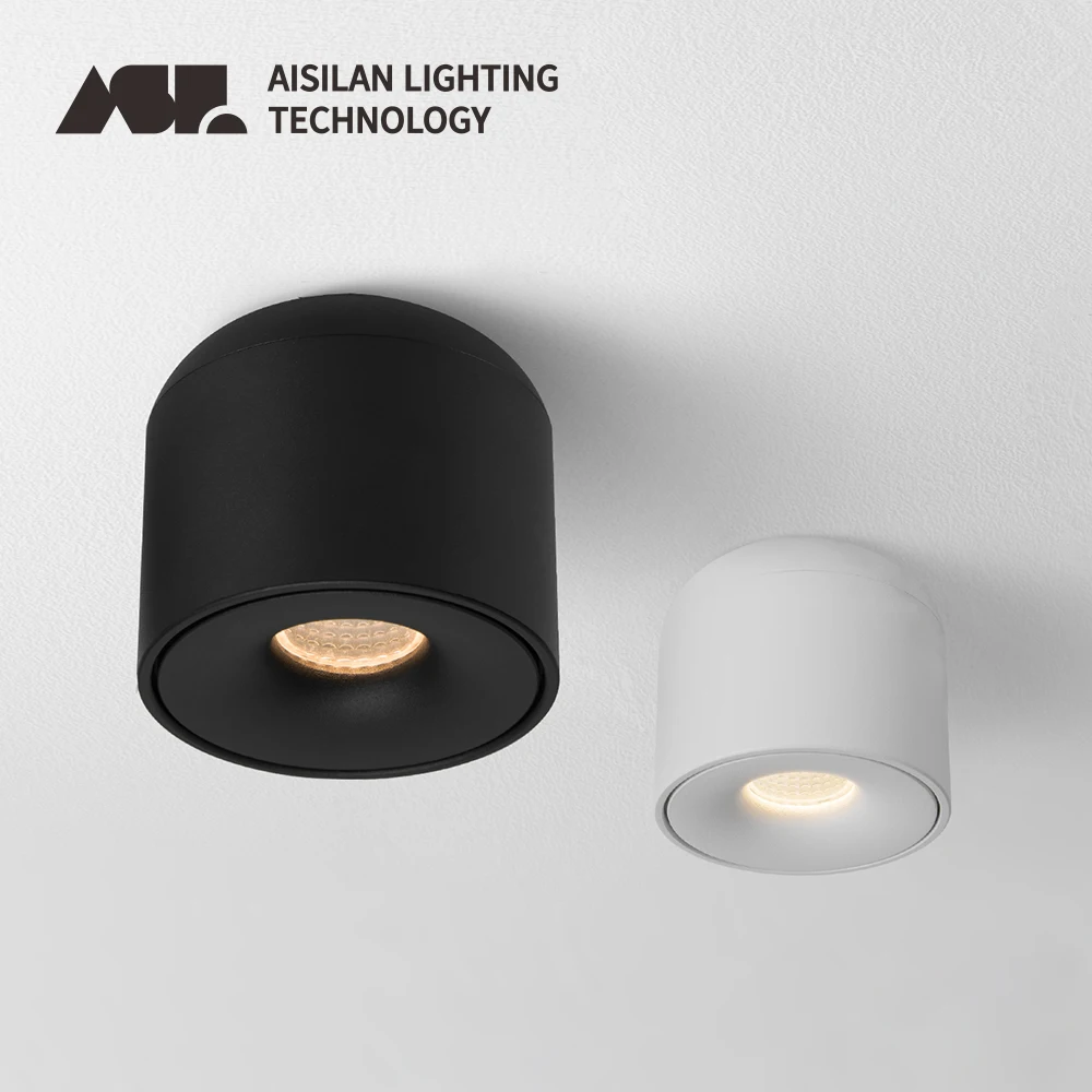 Aisilan LED Downlight Surface Mounted Ceiling Light for Living Room Kitchen Bedroom AC90-260V 7W/9W Dimmable Downlight