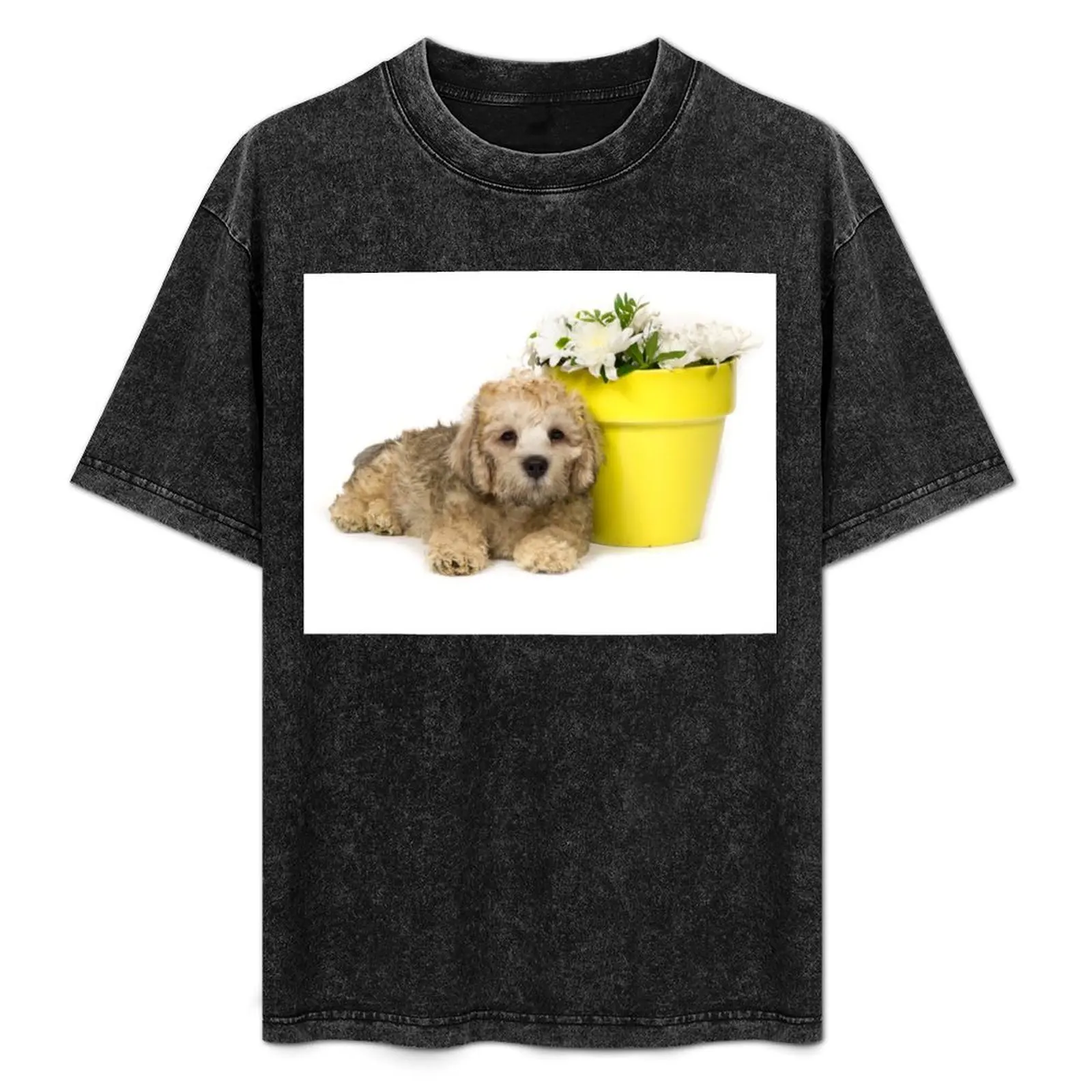 

Dandie Dinmont Terrier Puppy T-Shirt Big Size Crew Neck T-Shirt