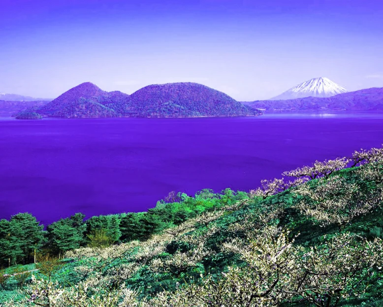 Hakrc Blheli_S Mini… - image