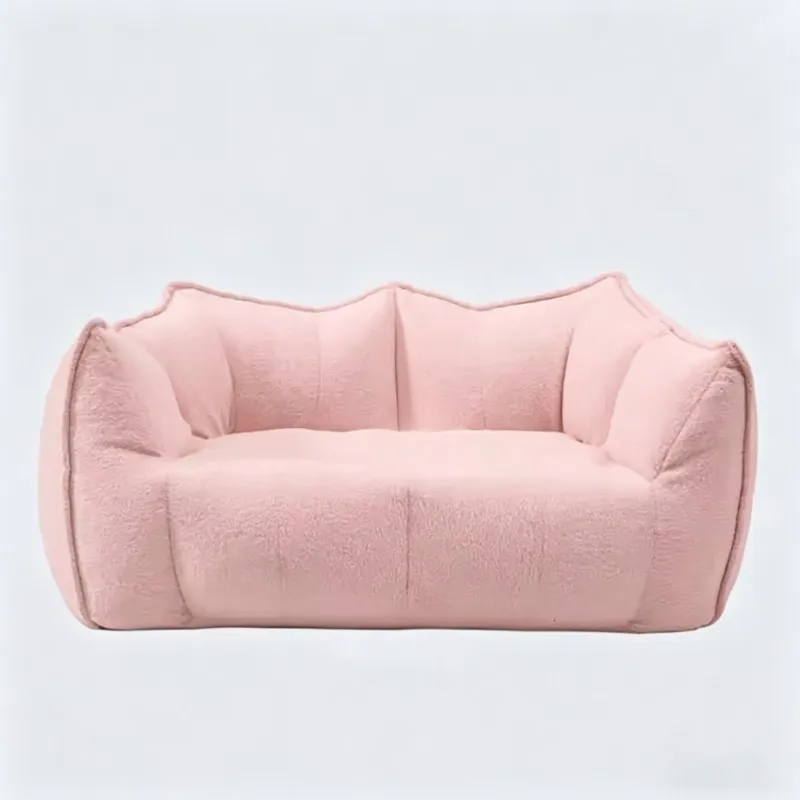 

Double Lazy Person Sofa Bedroom Balcony Leisure Recliner Vacuum Compression Sofa Sponge Filling Removable Washable