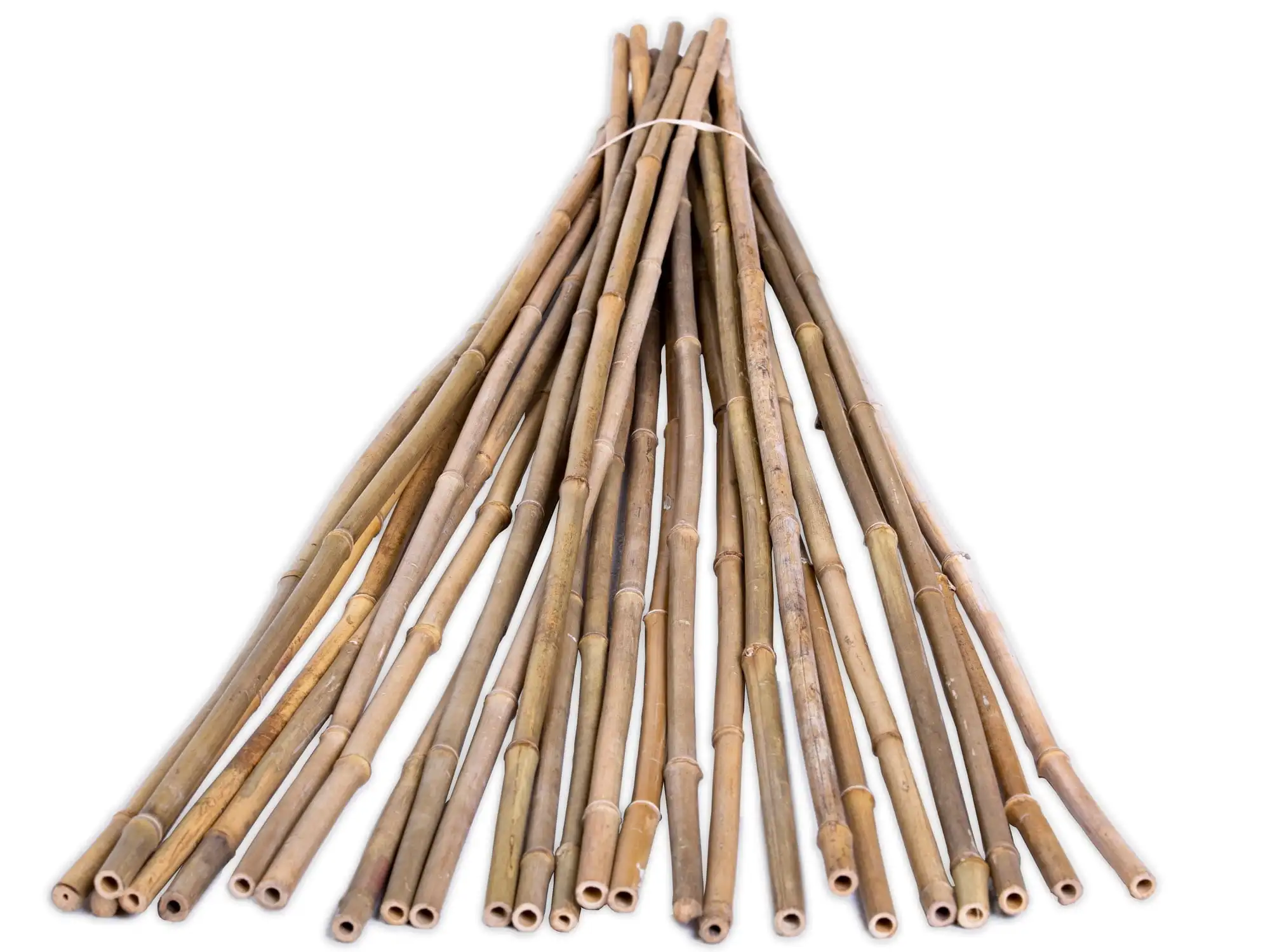 

Natural Plant Support Bamboo Garden Stakes, 6 ', 25 Pieces