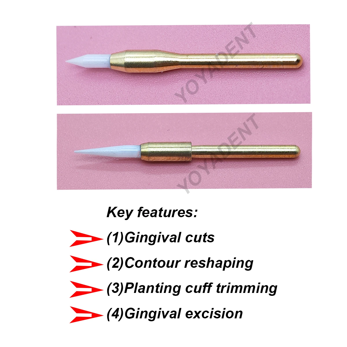 21/23mm Dental Soft Tissue Trimmer Bur for Gingival Retraction and Hyperplastic Gum Cutting Dental Implant Tools