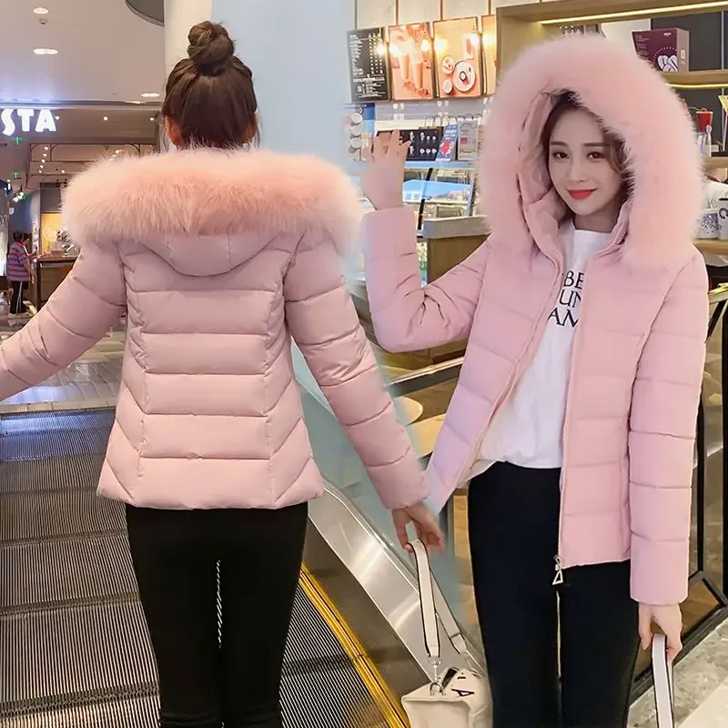 Women's Winter Jacket Cotton Padded Short Coat Ladies Students Long Sleeved Hooded Warm Outwear