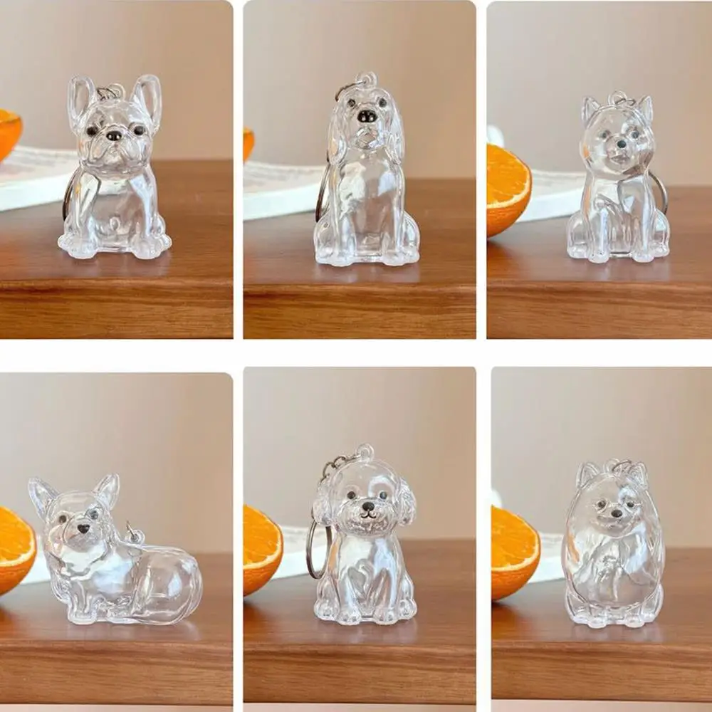 

Pet Hair Storage Box Pet Hair Storage Box Transparent Keepsake Container For Dogs Couple Car Key Chains Hanging Keychain Pendant