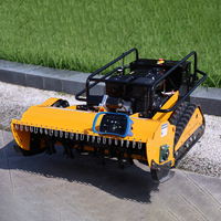 Customized Remote Control Intelligent Robot Flail mower Suitable for Agriculture/Gardens with Four-Stroke Engine