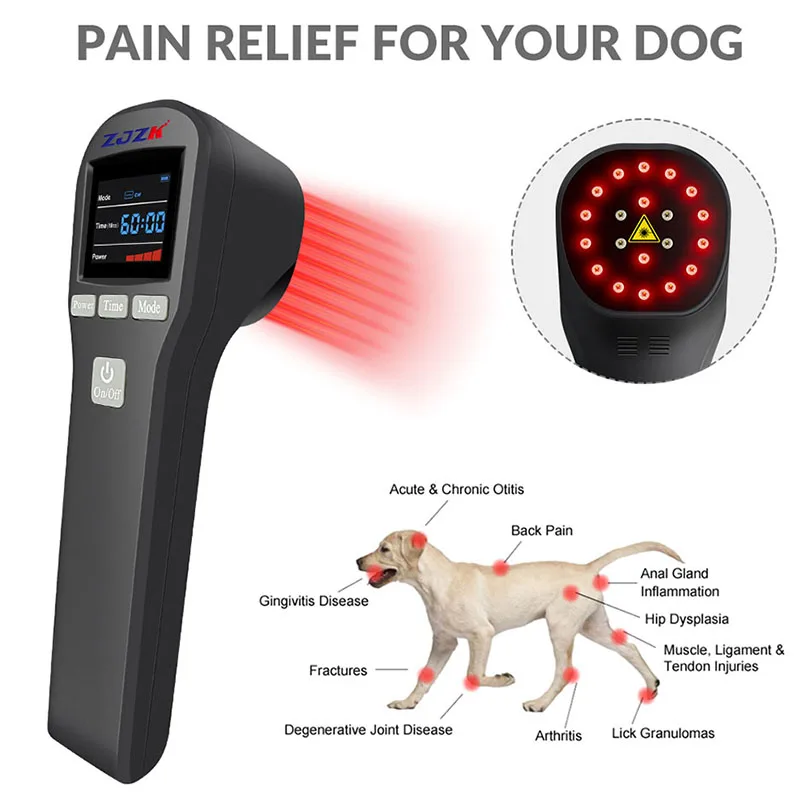 Best Veterinary Cold Laser Therapy Device Dog Acl Treatment Machine for Pain Relief Anti-inflammation Injury Healing 808nm 650nm