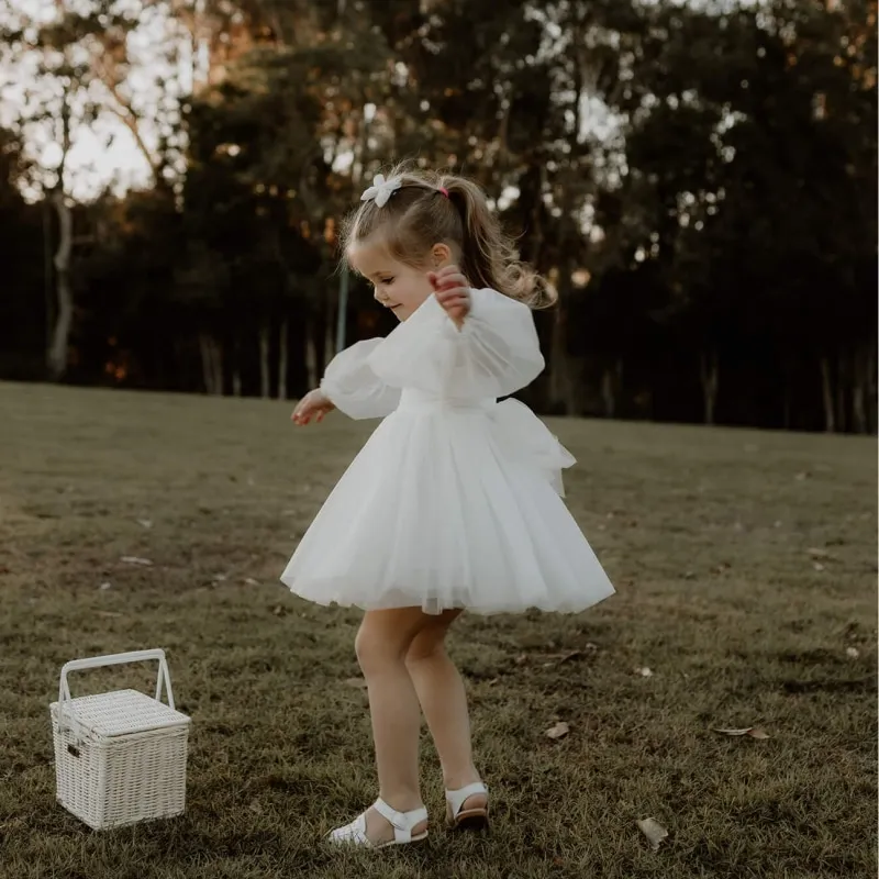 Baby Girl Princess Mesh Tutu Dress White Infant Toddler Child Long Sleeve Tulle Vestido Wedding Birthday Party Baby Clothes 2-6Y