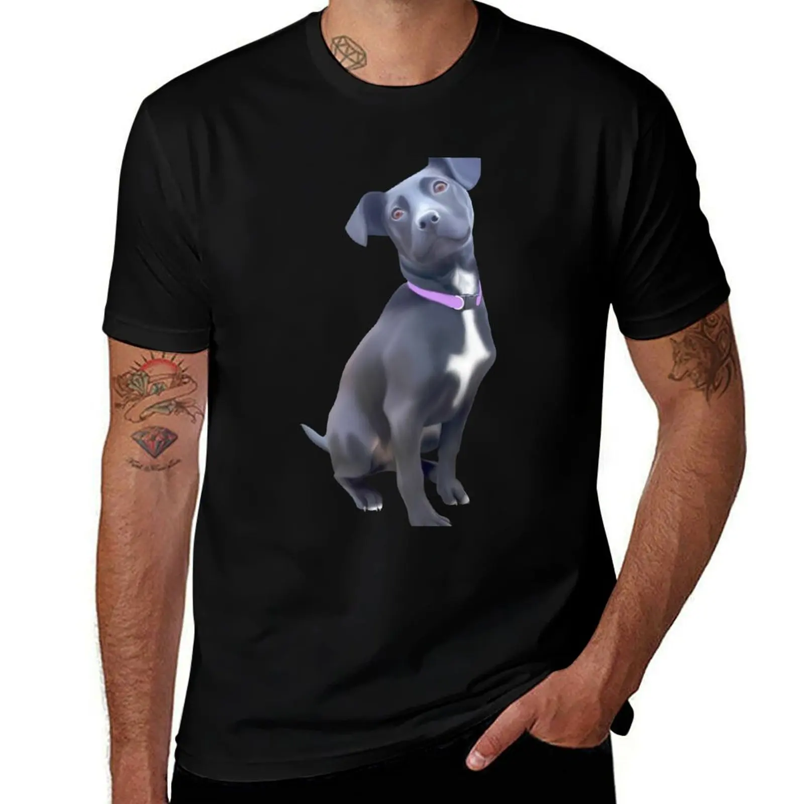 Acadia T-Shirt Big and Tall Casual T-Shirt