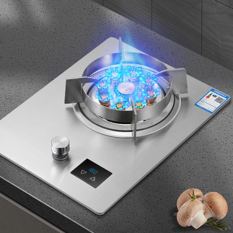 Stainless Steel Gas Cooker, Household Fierce Fire Stove Gas Cooker, Desktop Gas Cooker Single Stove, Intelligent Timing