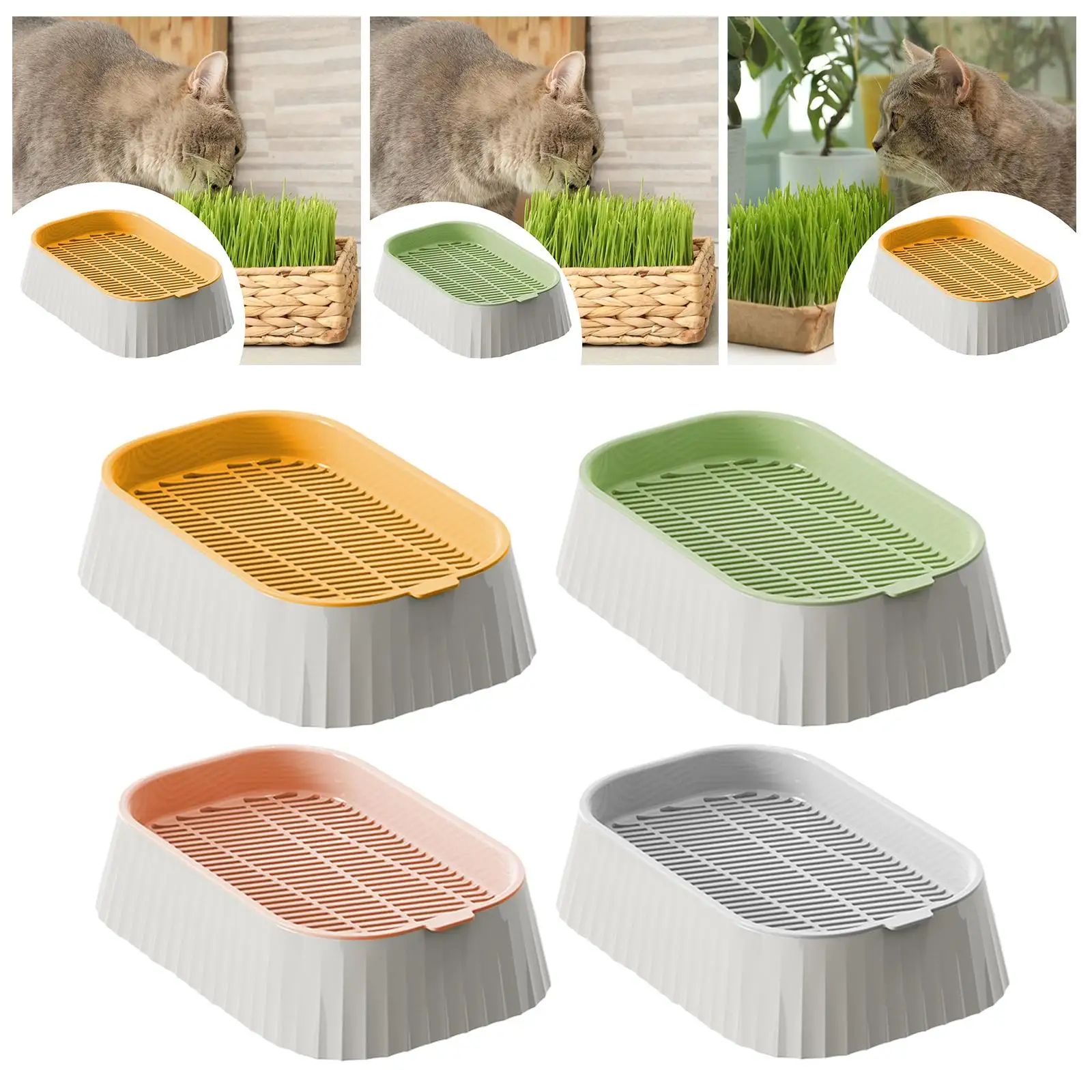 

Grain Sprouter Tray Hydroponic Box Growing Sprouting Container Indoor Cat Grass