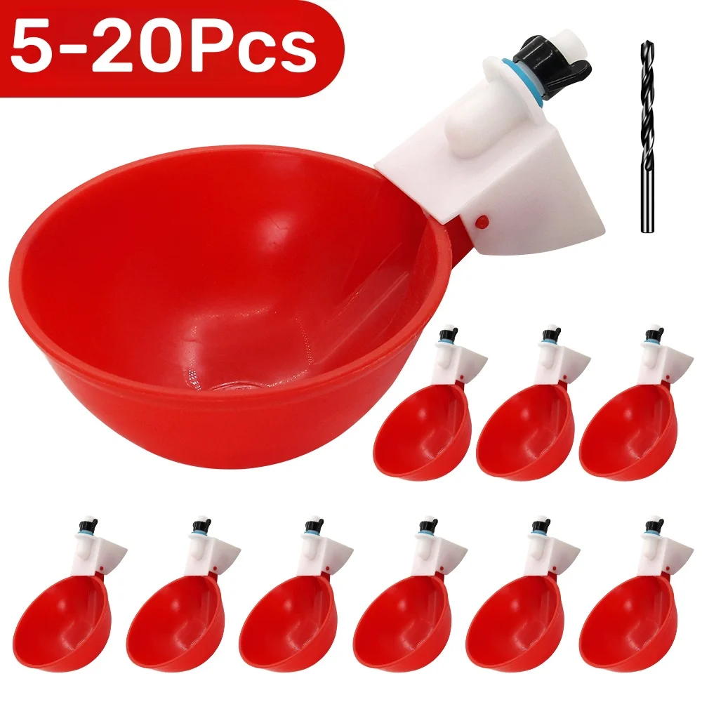 #39 Top Automatic Feeders Picks for Every Budget