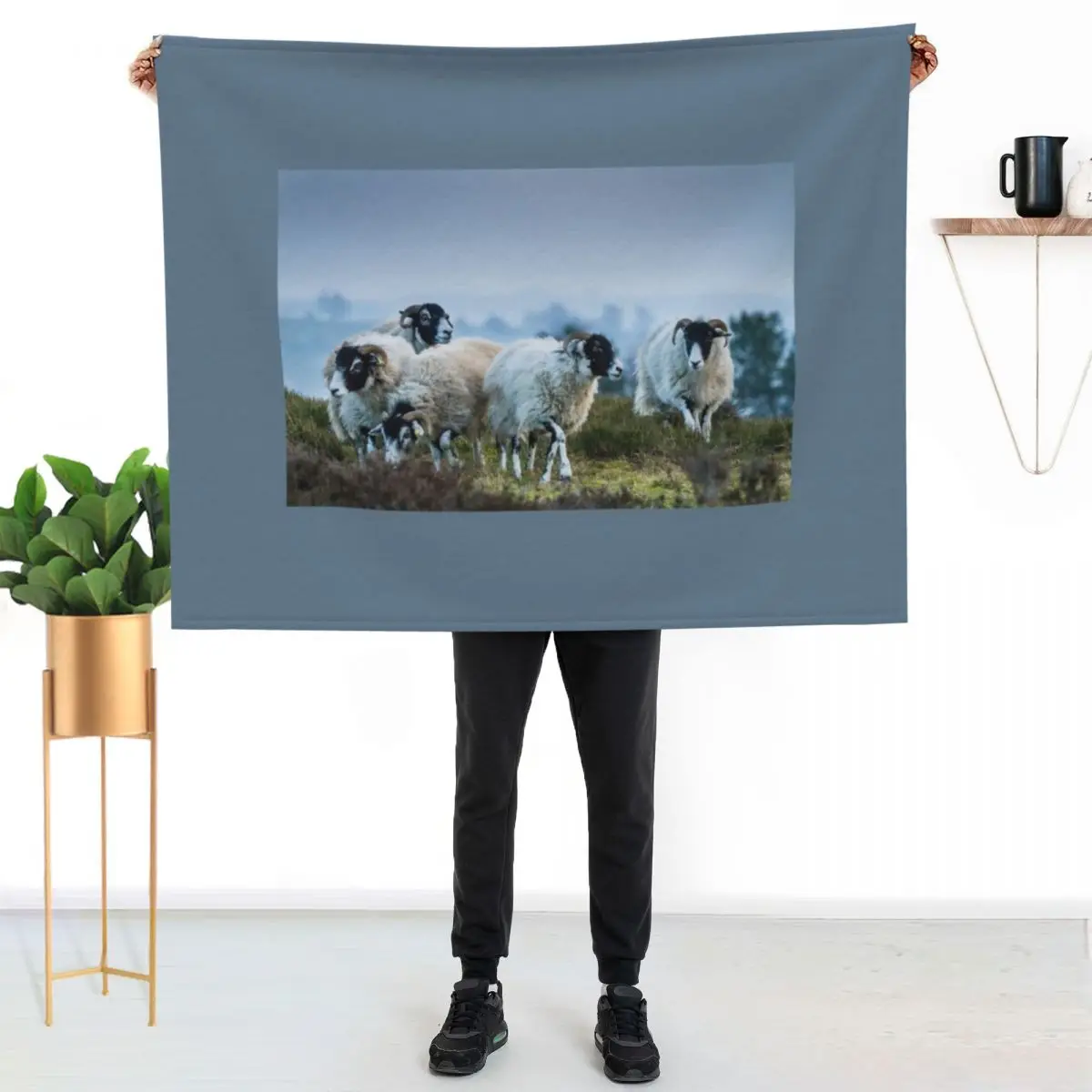 Swaledale Sheep on Stanton Moor Throw Blanket Furry Tourist Luxury Thicken warm for winter heavy to sleep Blankets