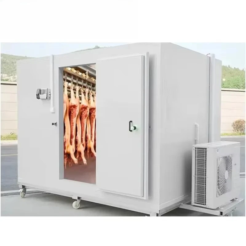 

Мобильная мини-холодильная камера на заказ, энергосберегающая, для хранения продуктов, овощей, морепродуктов, свежих продуктов