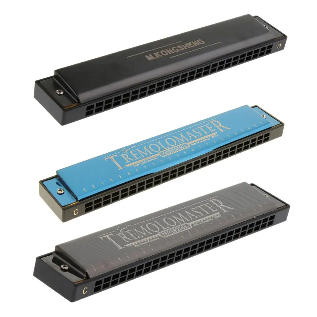 Metal Mouth Organ 24 Holes C Key Harmonica Tremolo Instrument for Learners and Music Enthusiasts