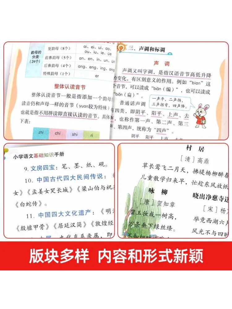 Book-Winshare Primary School Chinese Comfy Basics Knowledge Manual Upgraded Version