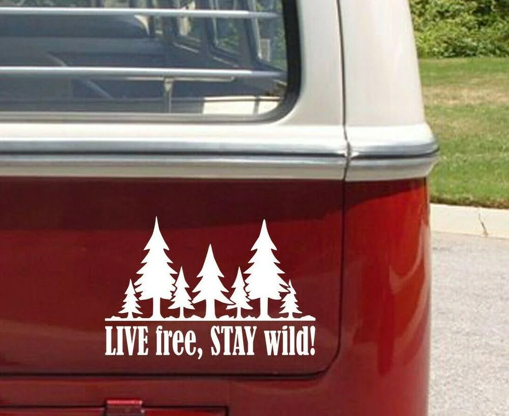 

For Live free stay wild car sticker / van exterior decal / camper sticker / vinyl