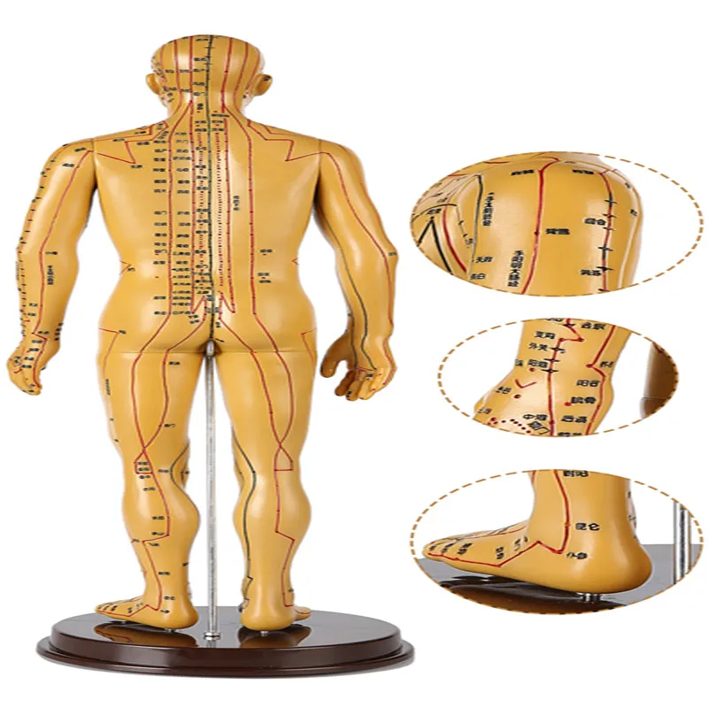 52cm novo modelo de acupuntura humana meridiano acupuntura tcm corpo bronze homem ensino médico diy ciência