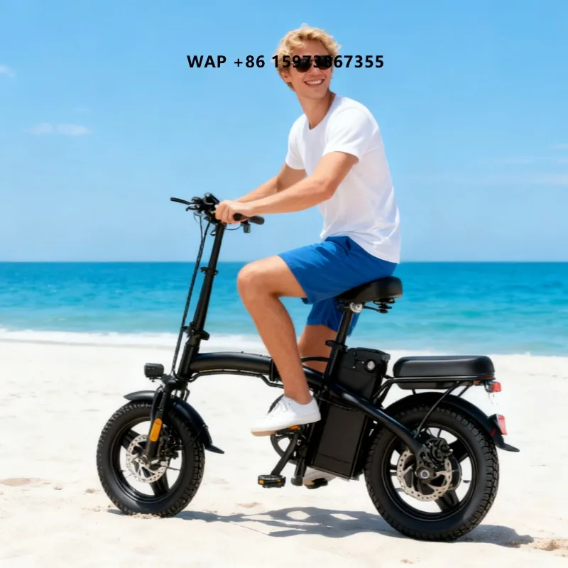 

Promotional Model In-Stock in European & American Warehouses 300W Mini Foldable Electric Bicycle for Adults