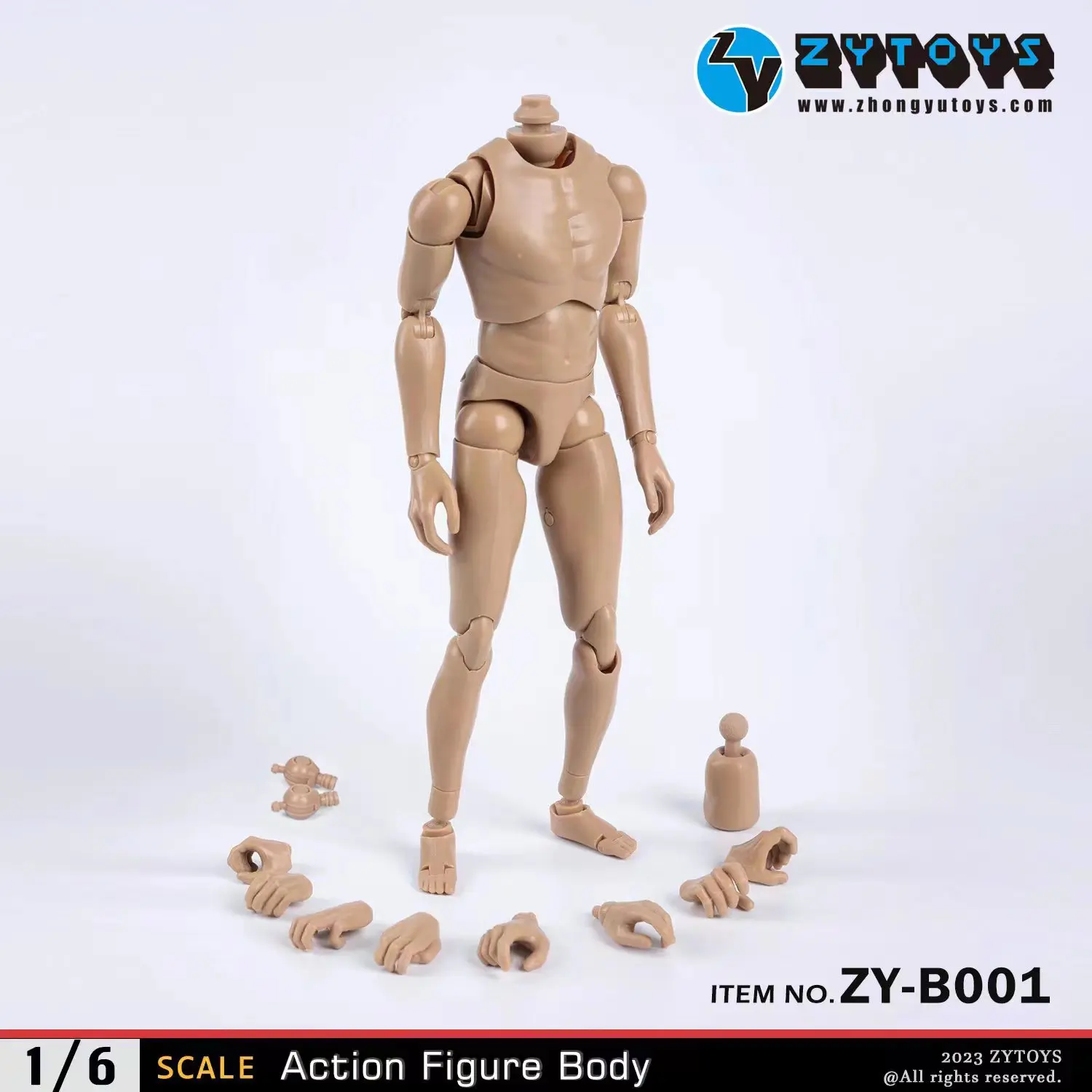 

ZYTOYS 1/6 Scale Male Body B001 5pair hand Flexible joints For 12inch Action Figures Nude Dolls Soldier Accessories Collection